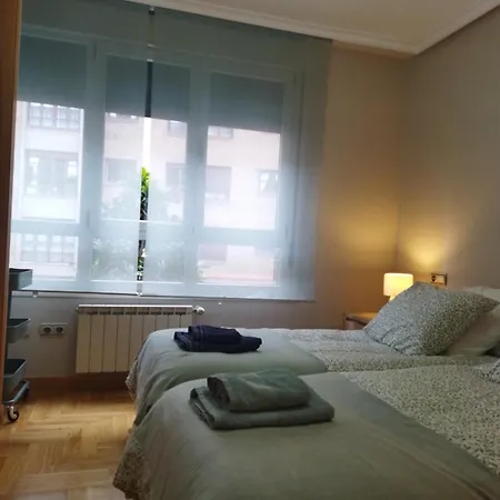 Centrico Parking Y Wifi Gratuitos Admite Mascotas * Oviédo