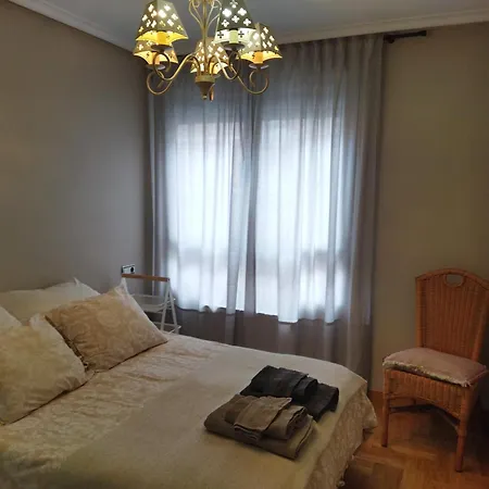 Apartment Centrico Parking Y Wifi Gratuitos Admite Mascotas Oviédo