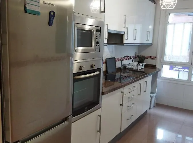 Apartman Centrico Parking Y Wifi Gratuitos Admite Mascotas