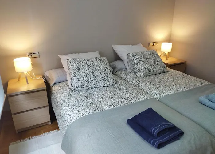 Centrico Parking Y Wifi Gratuitos Admite Mascotas Apartman *